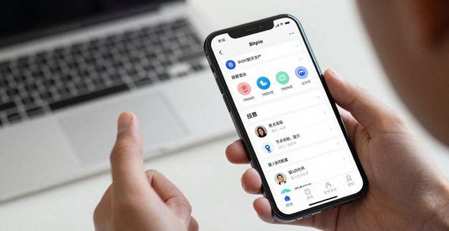 Bitpie钱包投票教程：iOS用户如何参与数字资产治理